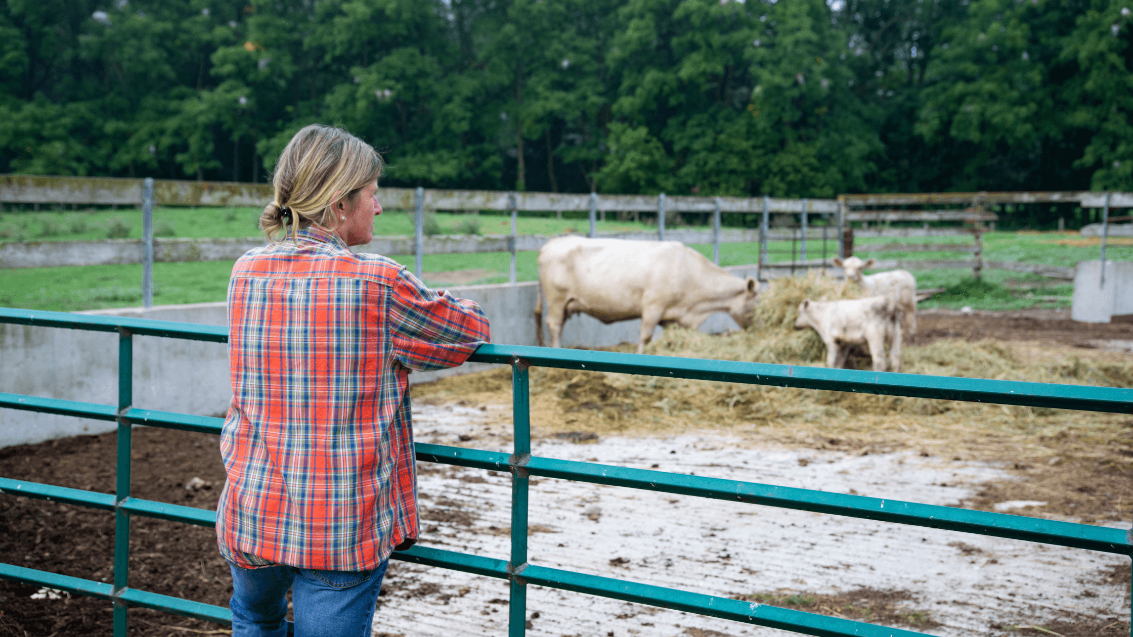 Why Farmers Choose Remanufactured Compressors