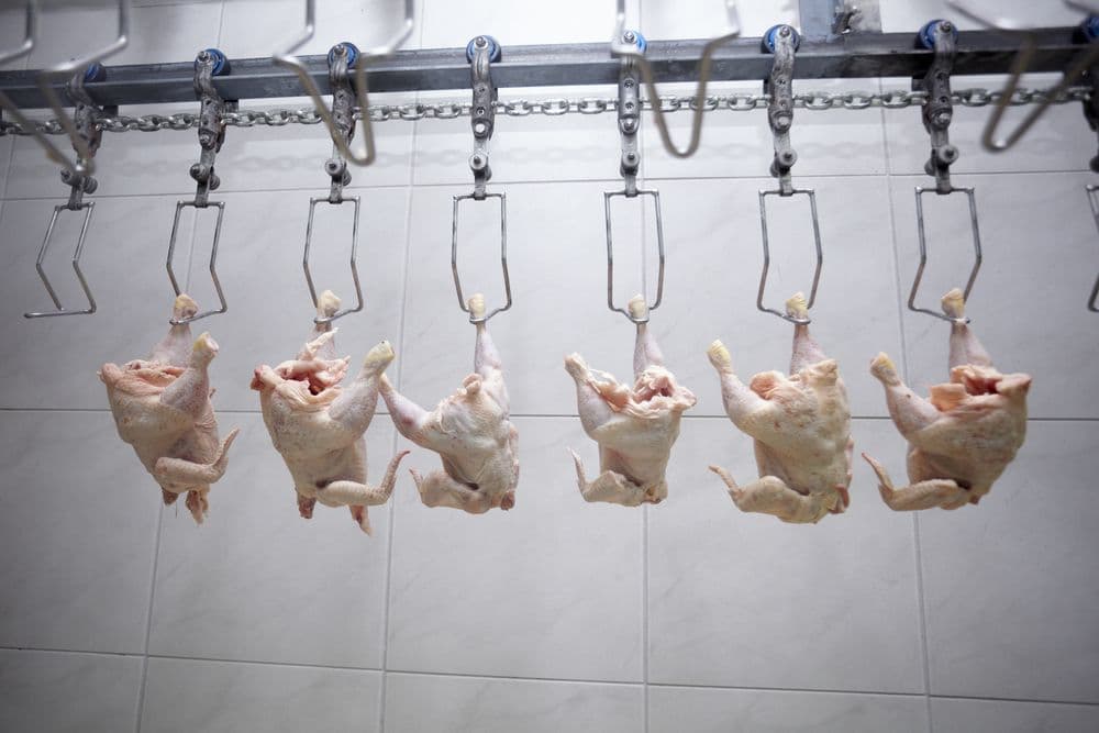 Commercial Compressors - Vital to Meat Processing