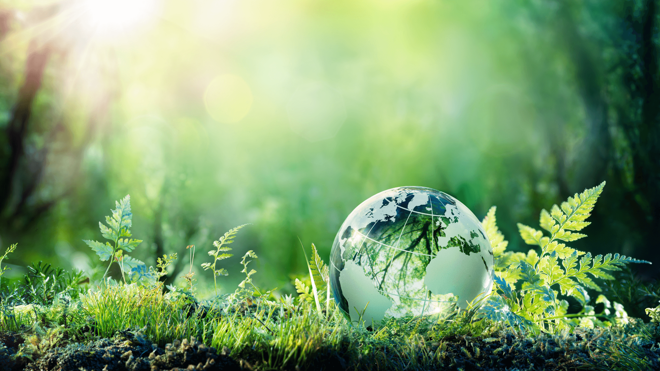 Remanufactured Industrial Compressors are Good for the Environment